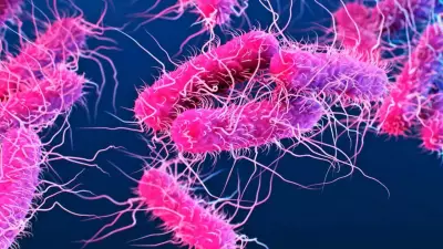 Kerala Shigella Death Toll Rises to 6, 140 Cases in June