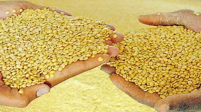 Kharif Sowing Lags Significantly Across India as Monsoon Remains Weak