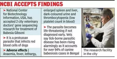 Kolkata Vets' Gene Sequencing Breakthrough for Canine Parasite Accepted by NCBI
