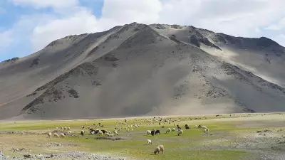 Ladakh Tourism Rebounds with 43% Surge in Visitor Numbers in 2026