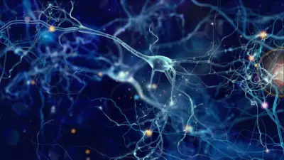 Lithium Deficiency Linked to Alzheimer's: Landmark Harvard Study