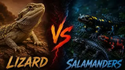 Lizard vs Salamander: Key Differences in Skin, Habitat, and Behavior