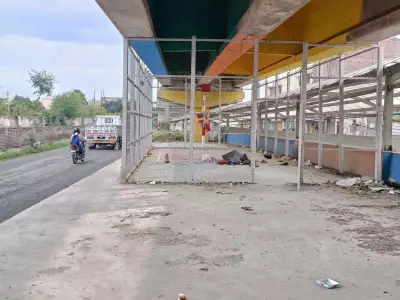Ludhiana Smart City sports courts under flyovers fall into neglect, crime