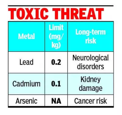 Madurai Millers Say Heavy Metals in Besan Come from Farms, Not Mills