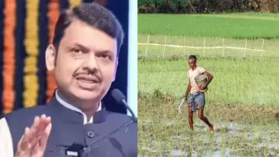 Maharashtra CM Advises Farmers: No Widespread Rain Before June 15