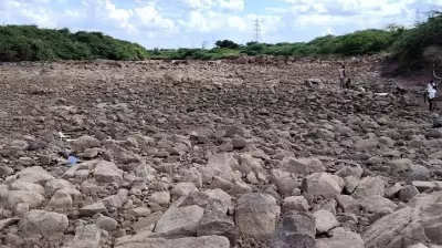 Malaprabha River Dries Up, Farmers in Karnataka Face Crisis