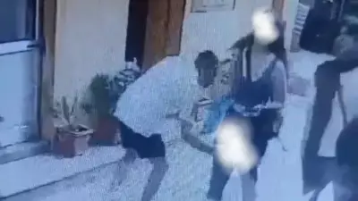 Manali Harassment Video: Foreign Woman Allegedly Targeted, Probe Ordered