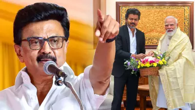 MK Stalin Slams CM Vijay's Delhi Visit, Accuses Him Of Double Standards In BJP Debate