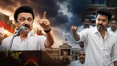 MK Stalin to Vijay: Stop Searching for Me, Focus on Governance
