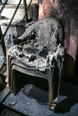 Mumtaz Saves Sisters from Delhi Fire, Returns for Cat Coco