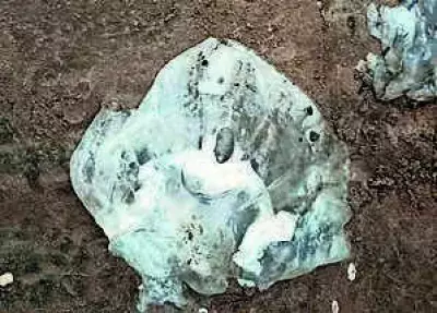Nagore Beach Jellyfish Surge Prompts Safety Measures in Nagapattinam