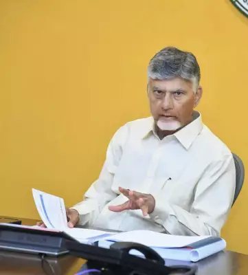 Naidu rejects YSRCP's allegations of irregularities in DSC recruitment