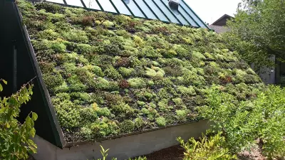 Nature-Based Solutions: Hype or Hope for Climate Targets?