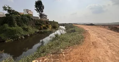 Nature's Wealth We Choose to Ignore: Bellandur Lake Disaster