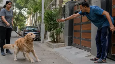 Neighbour Harasses Dog, Wife Is Friend: 5 Women Share How They Handled It