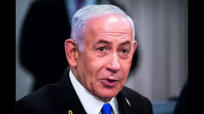 Netanyahu to Seek Re-election, Likud Party Confirms After Trump Query