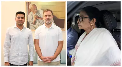 No Merger: Congress, TMC After Abhishek Meets Rahul; Mamata Fights to Survive