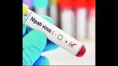No New Nipah Cases in Kozhikode, Three Admitted for Observation
