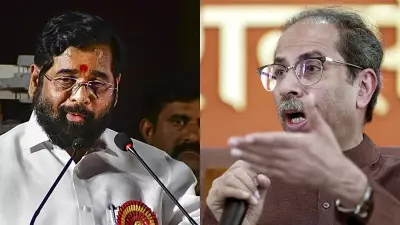 Operation Tiger: Six Shiv Sena (UBT) MPs Set to Switch Sides