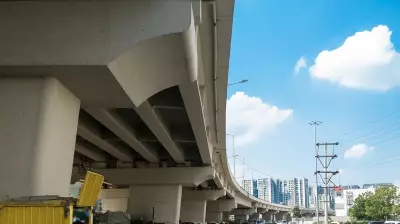 Over 749 trees at risk for Bengaluru's Indiranagar flyover, not 89