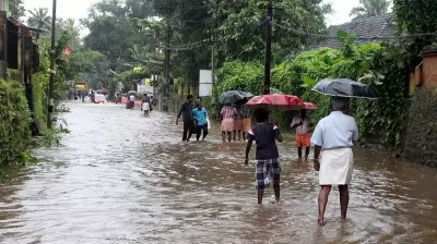 Overnight Heavy Rains Cause Waterlogging, Tree Uprooting in Kerala
