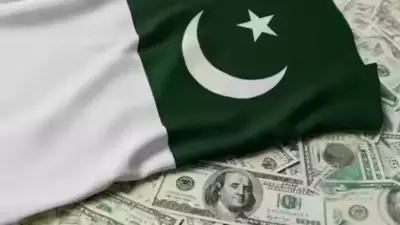 Pakistan Targets Donkey Meat Exports to China for Nutritional Demand