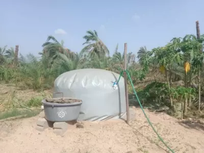 Parliamentary Panel Reviews National Bioenergy Programme, India’s Biogas Potential