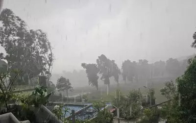 Powerful Nor'wester Hits Bhubaneswar, Cuttack; Trees Uprooted, Vehicles Damaged