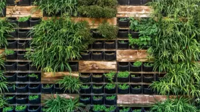 Protect Your Vertical Garden from Summer Heat: Key Tips