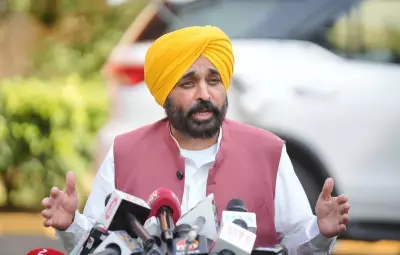 Punjab CM Mann says impostor in video wearing mask resembling him