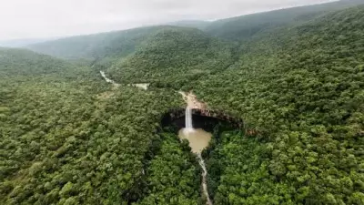 Rare Wildlife Returns to Chhattisgarh Reserve After 2,500 Acres Reclaimed