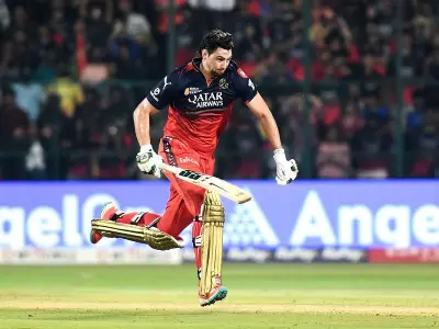 RCB's Tim David Suspended for One IPL Match After Code of Conduct Breach