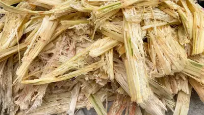 Rice Husk, Sugarcane Residue Can Replace Cement in Green Concrete, Study Finds