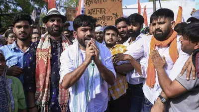 RSS Behind Attack on Me, Claims Cockroach Janta Party Founder Abhijeet Dipke