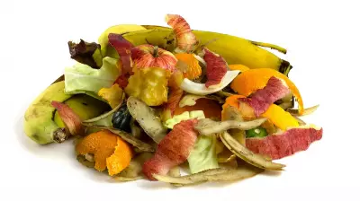 Scrap Appeal: Transforming Food Waste into Culinary Delights