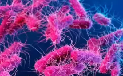 Shigella Outbreak Spreads Beyond Wayanad to Three Kerala Districts