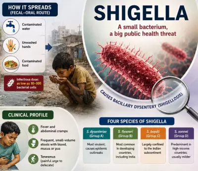 Shigella: The Invisible Invader in Your Water Glass and the Battle Against Bacterial Dysentery