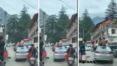 Shirtless Tourists Ride on Car Roof in Kasol, Internet Reacts