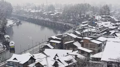 Snow, Struggle, and Survival: Gujjar-Bakerwal Nomads Face Disrupted Migration in J&K