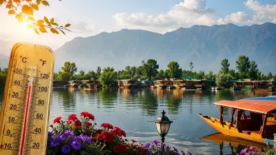 Srinagar Hits 33.8°C, Season's Hottest; Rain Relief Expected in July
