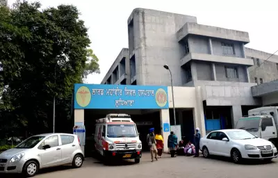 Staff at Ludhiana Government Hospitals Battle Stress Amid Violence and High Workload