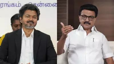 Stalin Hints at Possible Fall of Vijay's TVK Government in Tamil Nadu
