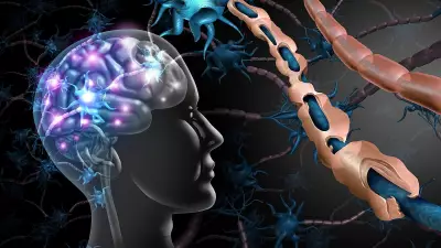 Study Explores Gut Bacteria Treatment for Multiple Sclerosis