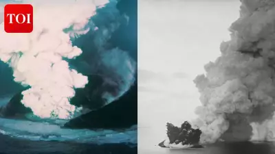 Surtsey: Iceland's Forbidden Volcanic Island Reveals How Life Begins on New Land