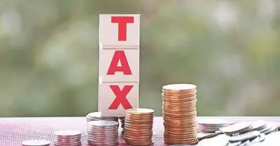 Tax Implications of Receiving Dividends in India Explained
