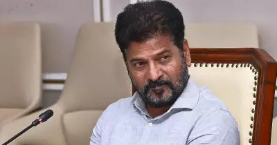 Telangana CM Revanth Reddy Seeks Centre's Help on Tungabhadra Water Share