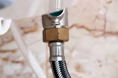 The nut that yielded to soft hands: A sister's ingenuity