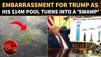 Trump's $14M Reflecting Pool Turns Green, Internet Mocks 'Swamp' Project