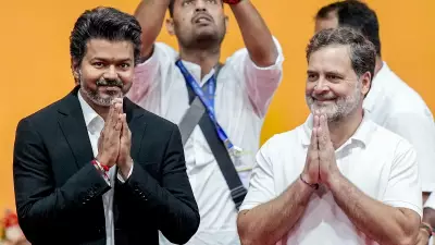 TVK Allots Rajya Sabha Seat to Congress for Tamil Nadu Bypoll on June 18
