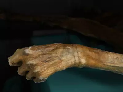 Ötzi the Iceman: 5,300-Year-Old Mummy Reveals Secrets of the Copper Age